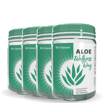 Aloe Wellness Day