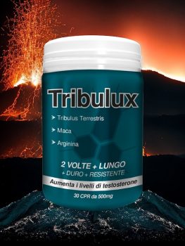 Tribulux