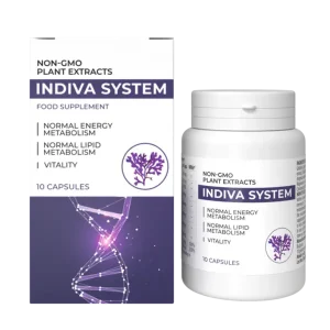 INDIVA SYSTEM