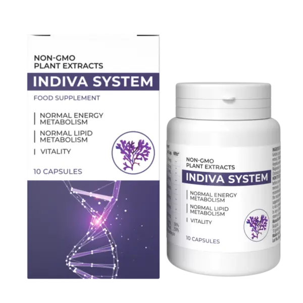 INDIVA SYSTEM