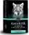 AMAROK – prezzo, in farmacia, recensioni vere e opinioni 
